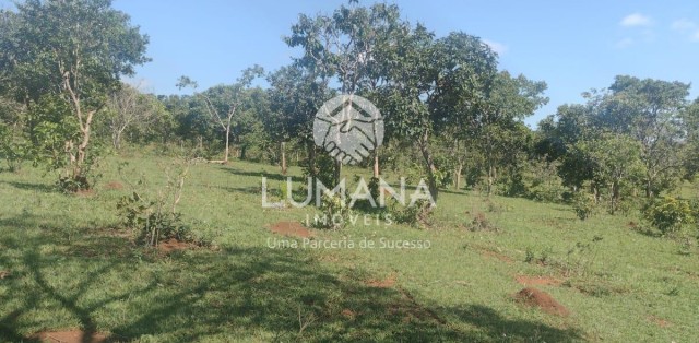 Área/ Sessenta e três hectares