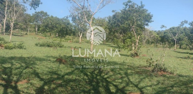 Área/ Sessenta e três hectares