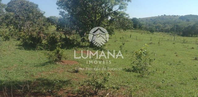 Área/ Sessenta e três hectares