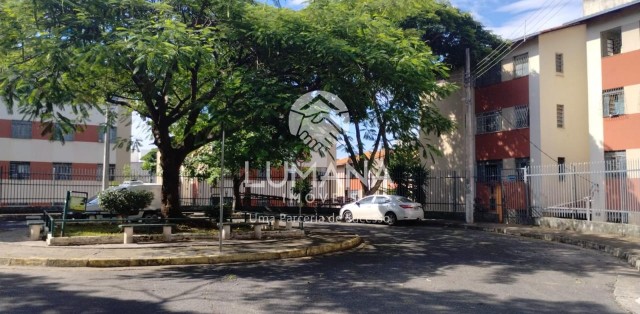 REGIÃO DE VENDA NOVA