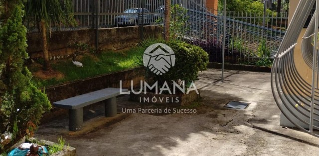 REGIÃO DE VENDA NOVA