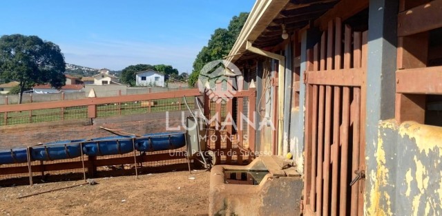 FAZENDINHA EM ÁREA URBANA