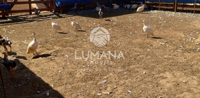ÁREA URBANA  -  63 ha