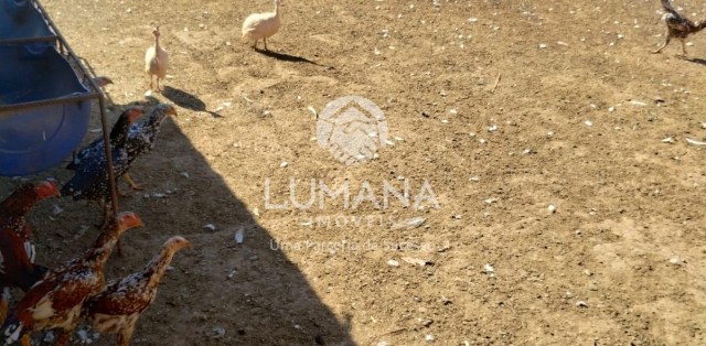 ÁREA URBANA  -  63 ha