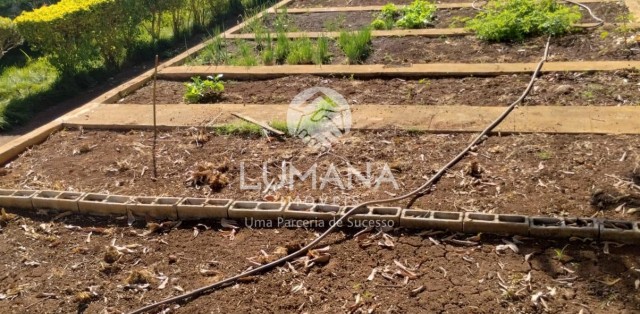 ÁREA URBANA  -  63 ha