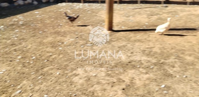 ÁREA URBANA  -  63 ha
