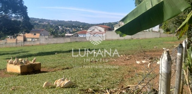 ÁREA URBANA  -  63 ha