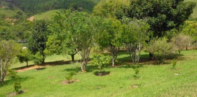 Chácara em alto Padrão - Itapeva/MG