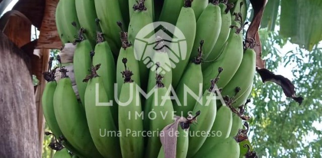 Chácara  porteira Fechada