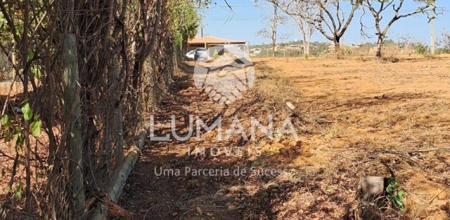 Lote