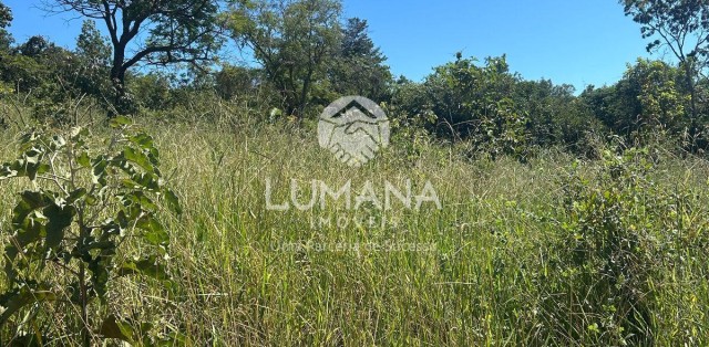 Lote Comercial