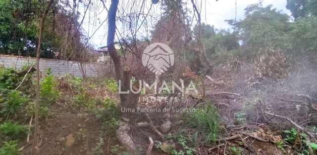lote 1.028 m²