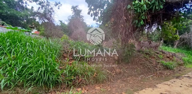 lote 1.028 m²